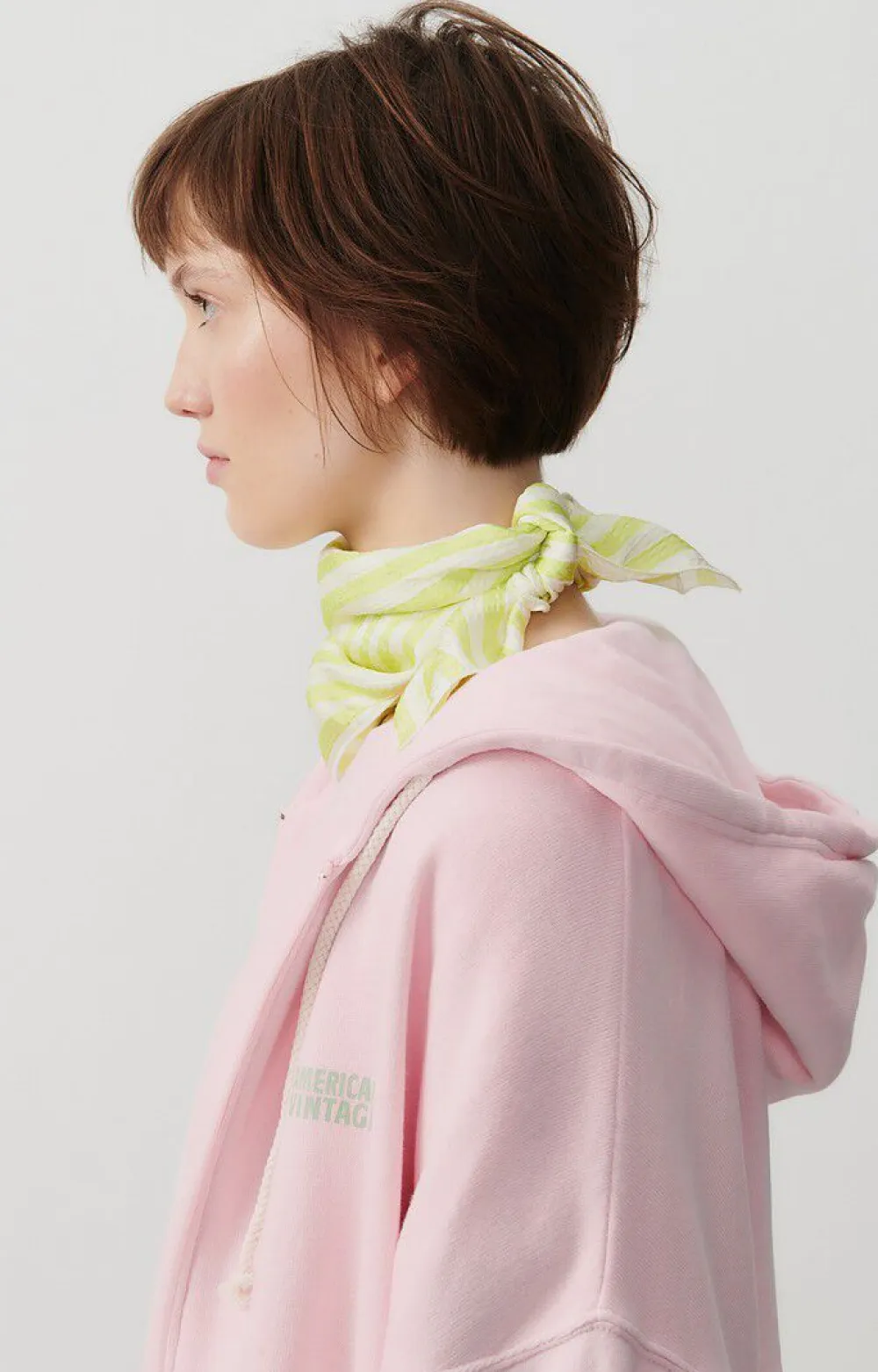 Sweat Femme Izubird*American Vintage Flash Sale